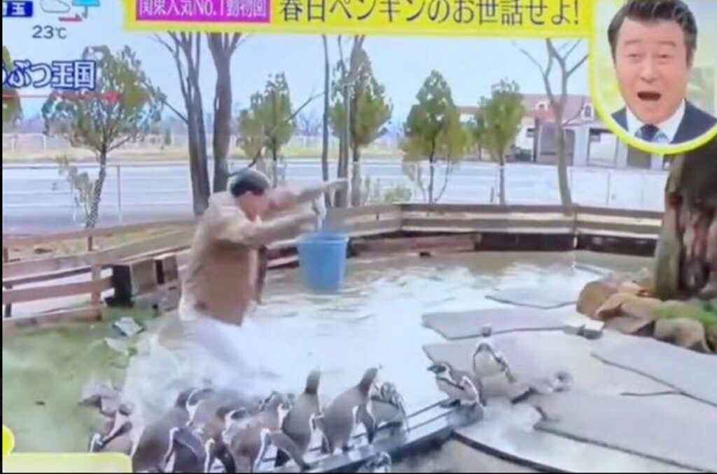 池に飛び込む春日