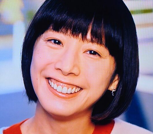 夏帆