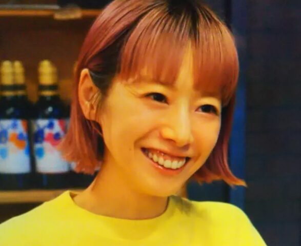 夏帆