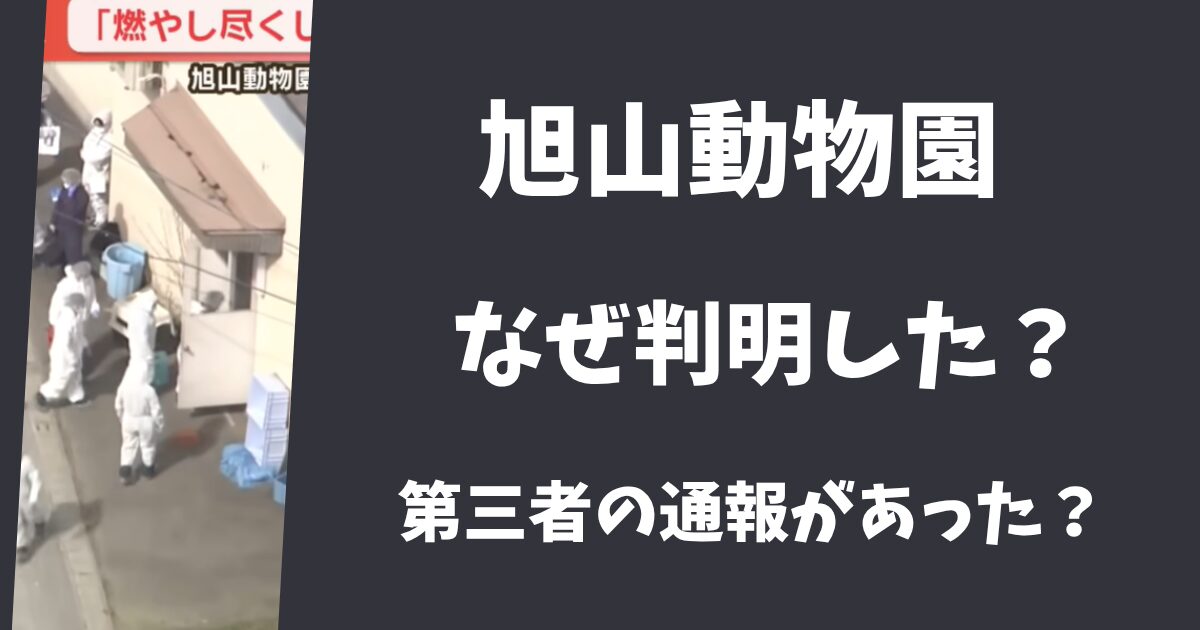 【旭山動物園・焼却炉】なぜわかった？第三者の通報で判明した？